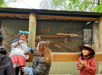 Parrots!
